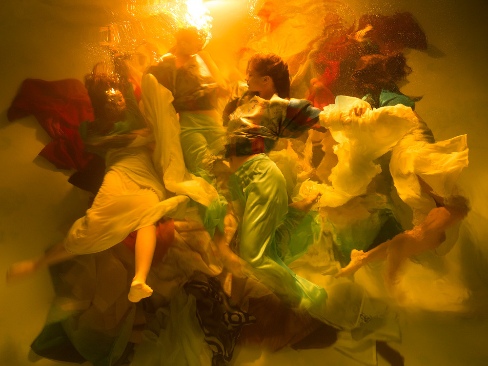 Ganador subcategoría Movimiento, Título: ”Harmony de Christy”. Autor: Lee Rogers (EE.UU). Foto Sony World Photography Awards 2019