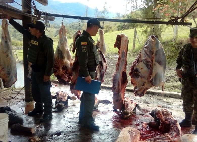 El matadero no contaba con las normas de salubridad mínimas requeridas. FOTO: POLICÍA.