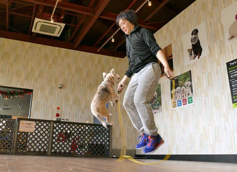 Purin y su dueño Makoto Kumagai rompiendo su propio récord de salto de cuerda. FOTO Cortesía www.guinnessworldrecords.com