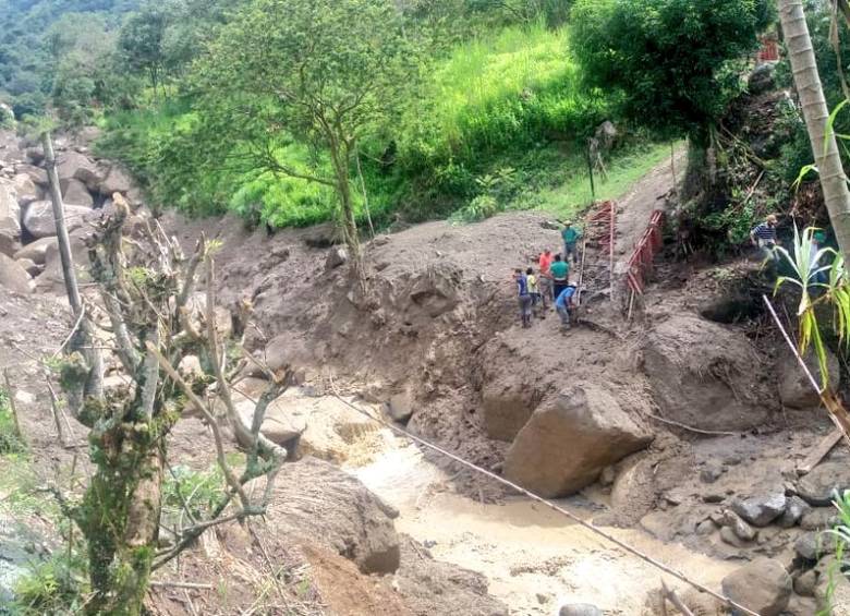 FOTO CORTESÍA GUARDIANES ANTIOQUIA