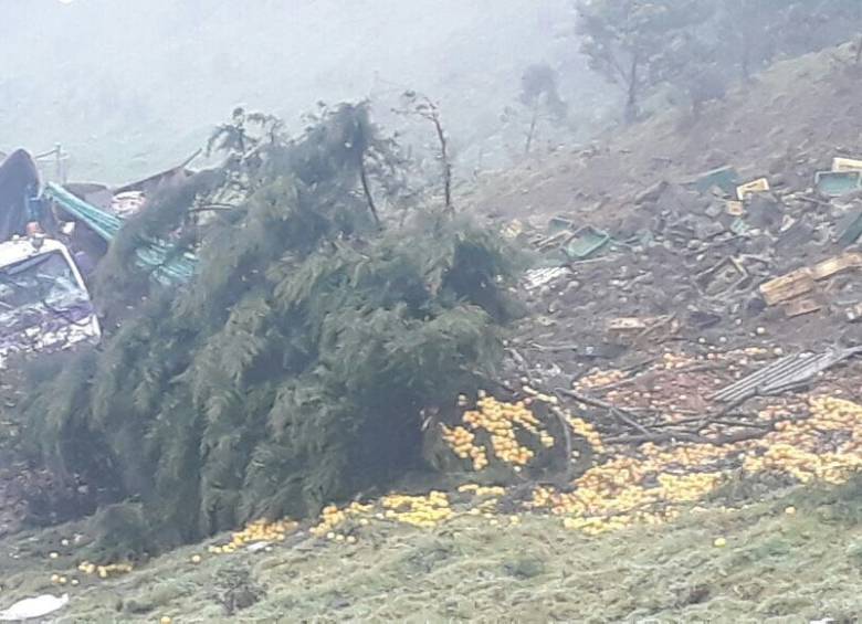 Dos camiones fueron arrastrados por el derrumbe en el Alto de la Línea. FOTO: CORTESÍA