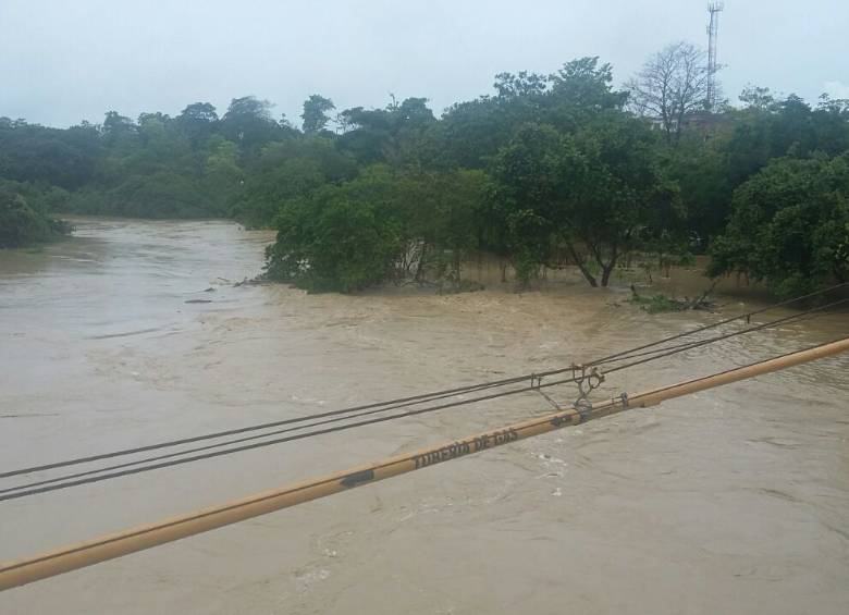 En San Juan de Urabá, norte de la región de Urabá, se desbordó el río San Juan que arrasó con cultivos de plátano, arroz y yuca en las veredas La Lajas, San Juanito y San Juan. FOTO Cortesía