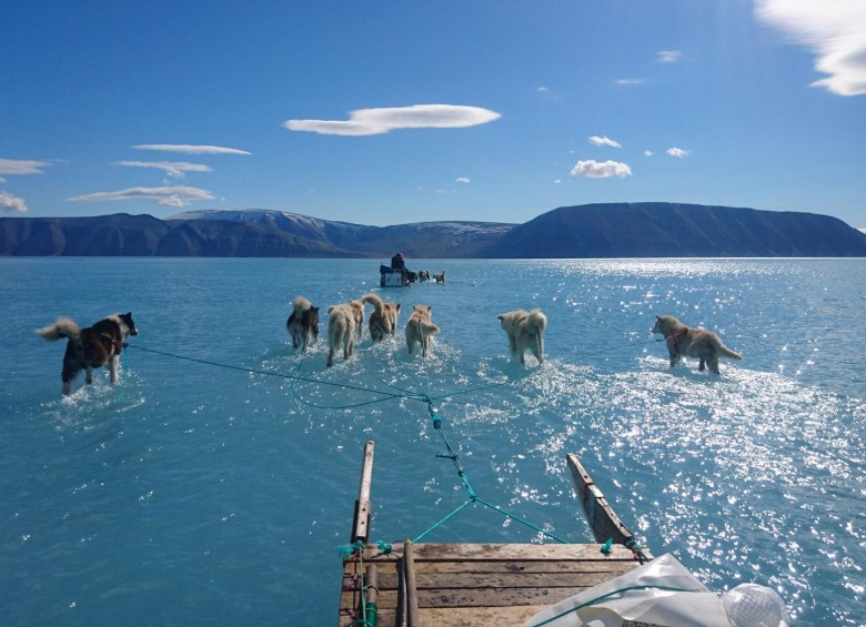A través de esta imagen se hizo viral los efectos del deshielo global. En la foto se ve un trineo tirado por perros a través sobre el agua durante una expedición por Groenlandia. Foto: Steffen Olsen / AFP