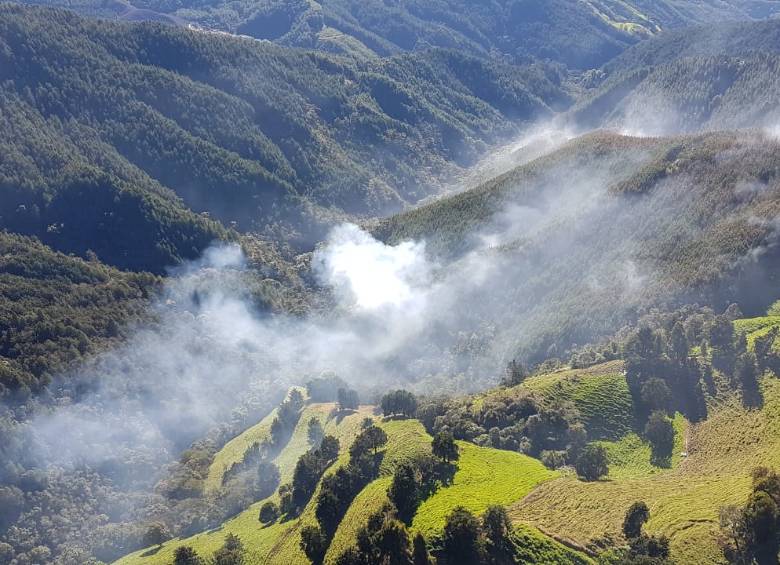 Radican proyecto que crea sistema de prevención de incendios forestales. Foto: Colprensa. 