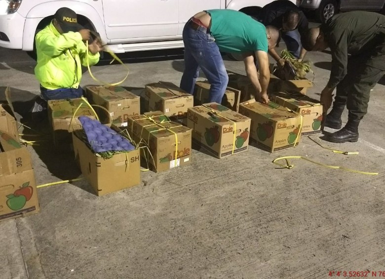 La droga estaba oculta en 28 cajas que llevaban cebolla larga. FOTO POLICÍA