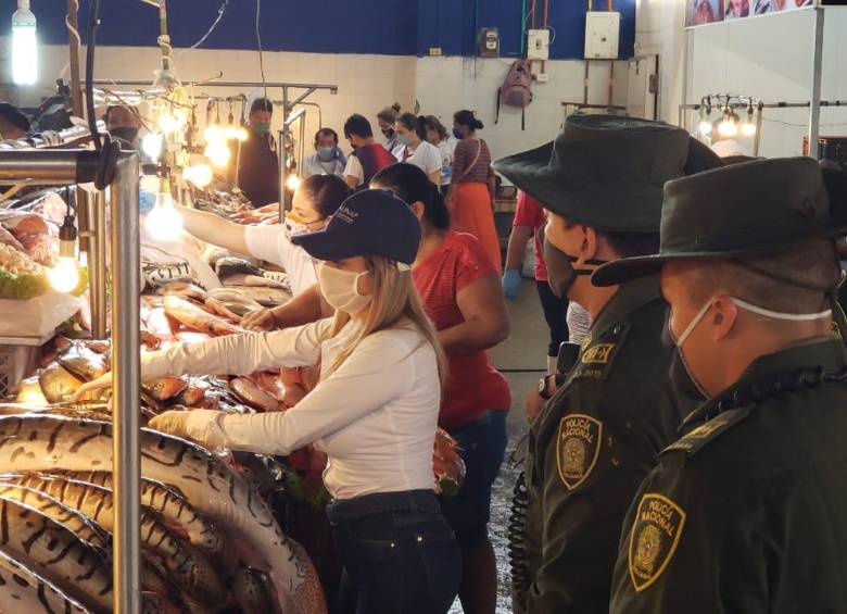 Según la autoridad de pesca, en los últimos años el bagre rayado ha sido declarado en estado crítico debido a la fuerte presión pesquera, producto de su alta demanda. Foto tomada de la web de la Aunap