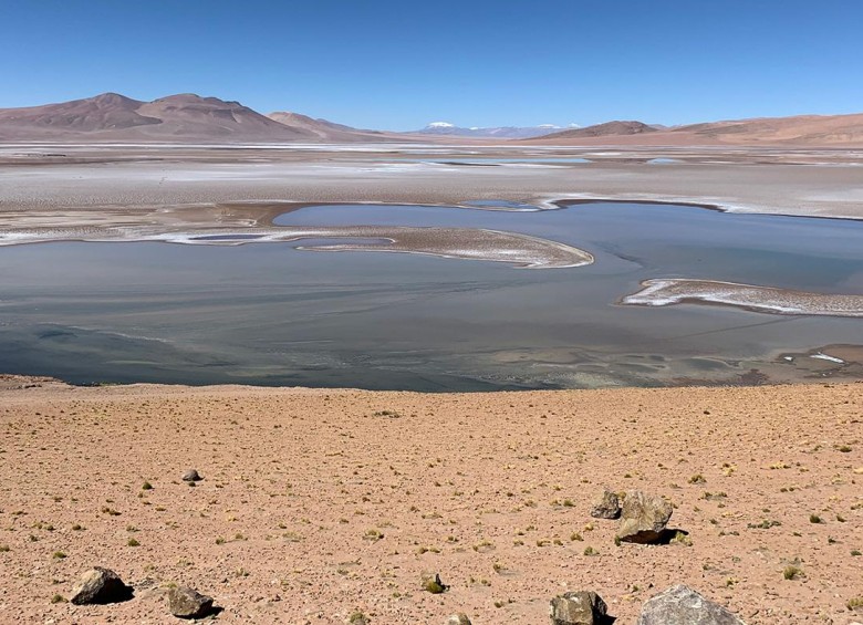 El salar de Quisquiro en el Altiplano de América del Sur representa el tipo de paisaje que los científicos creen que pudo haber existido en el cráter Gale en Marte. Imagen: Maksym Bocharov/Nasa