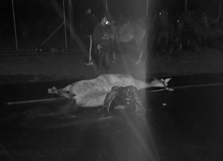 Fatal accidente entre motociclista y una recua de caballos en Rionegro