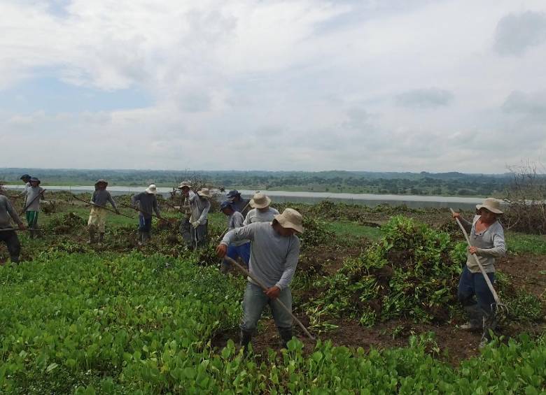El reto: salvar los humedales para enfrentar El Niño 