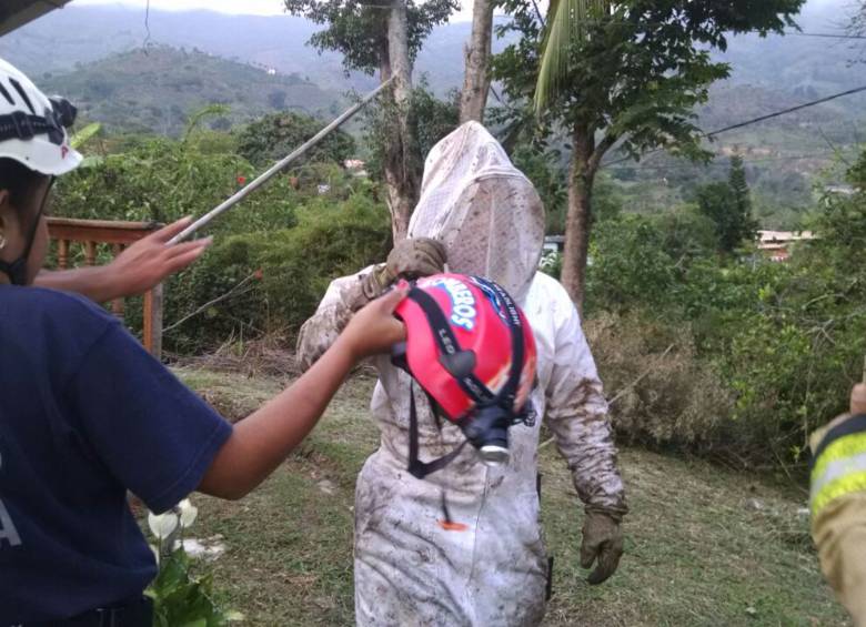 Fotos Cortesía Guillermo Naranjo