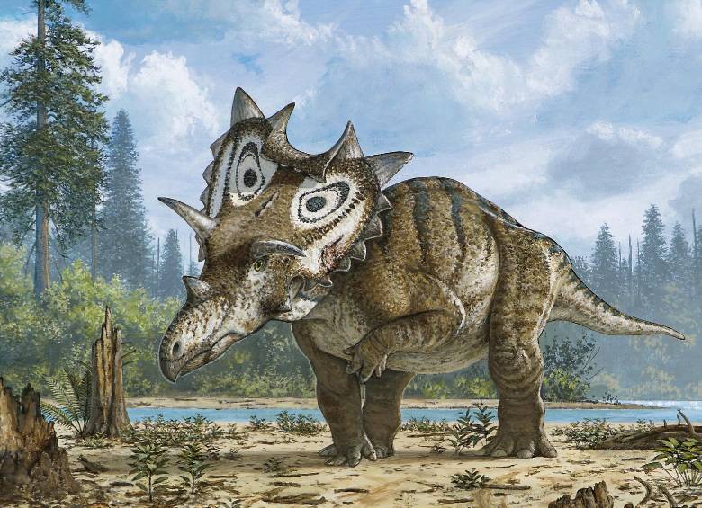 Coleccionista descubre de casualidad nueva especie de dinosaurio