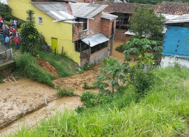 Fotos: cortesía Dapard