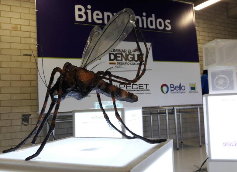 El 2019 cerró con más de 3 millones de casos de dengue en Latinoamérica. FOTO: ARCHIVO