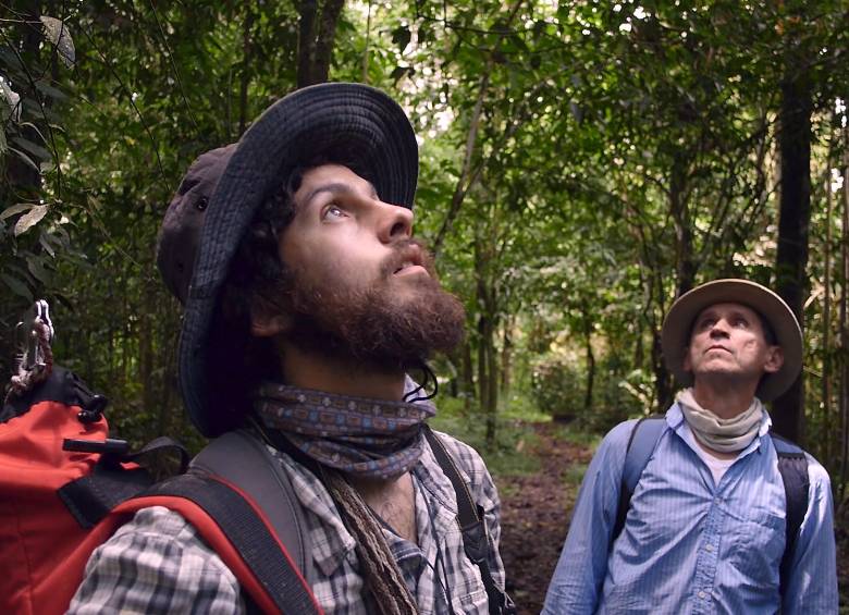 El documental, que ya se encuentra en salas de cine, fue grabado en bosques tropicales colombianos. Plantea la interacción entre hombre, ciencia y naturaleza. FOTO CORTESÍA.