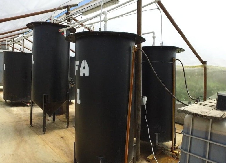 En estos tanques de procesamiento de residuos se genera el biogás con el que se produce energía, por ahora utilizada para alumbrado público en una vía veredal del municipio de El Carmen de Viboral, en el Oriente antioqueño. FOTO cortesía la cimarrona 