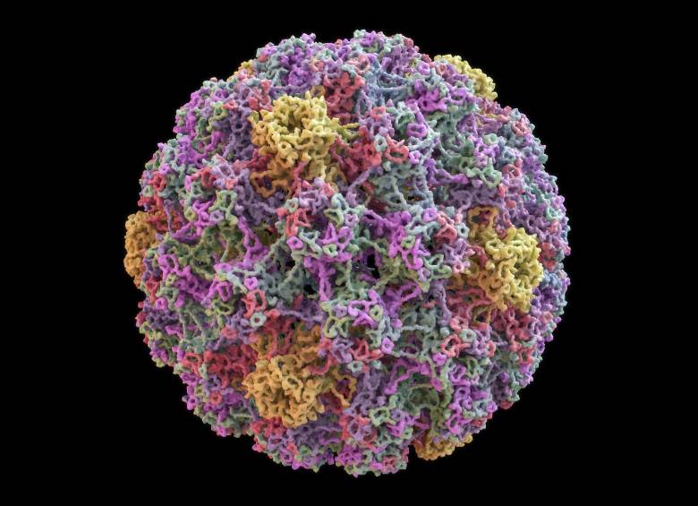 Inglaterra, Australia y Escocia combaten el Virus del papiloma humano. FOTO SSTOCK