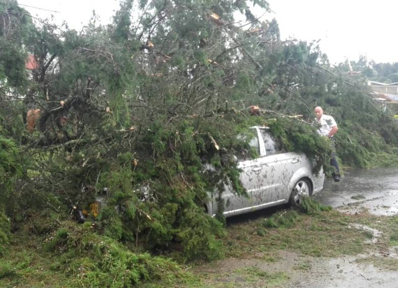 El fuerte aguacero provocó la caída de un árbol sobre un vehículo en la vereda Barro Blanco. FOTOS CORTESÍA MI ORIENTE