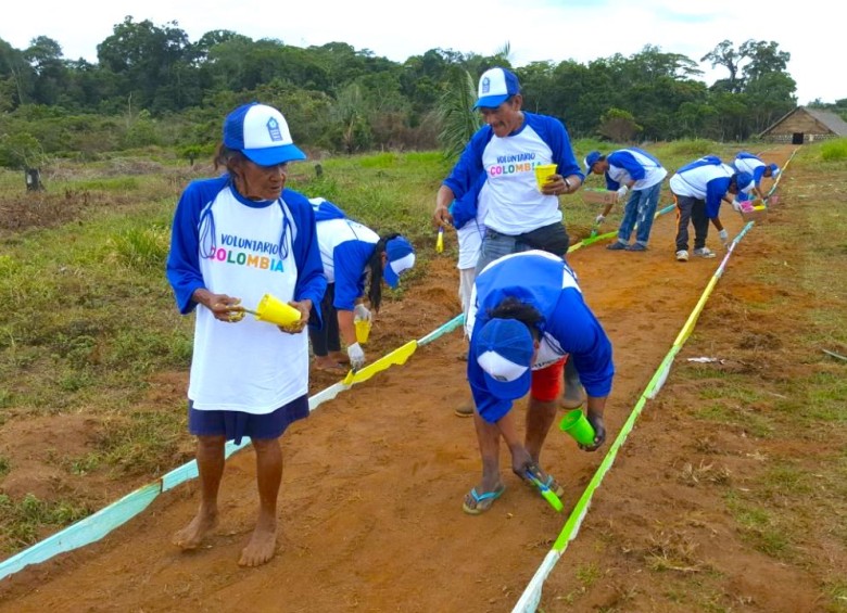 Excombatientes reconstruyen escuela en selvas del Vaupés