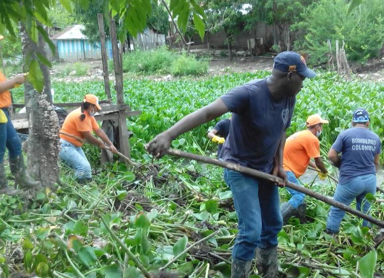 Los cuerpos de bomberos voluntarios son otro eslabón en la cadena de protección de los recursos ambientales en las zonas rurales del departamento de Antioquia. FOTO cortesía corantioquia