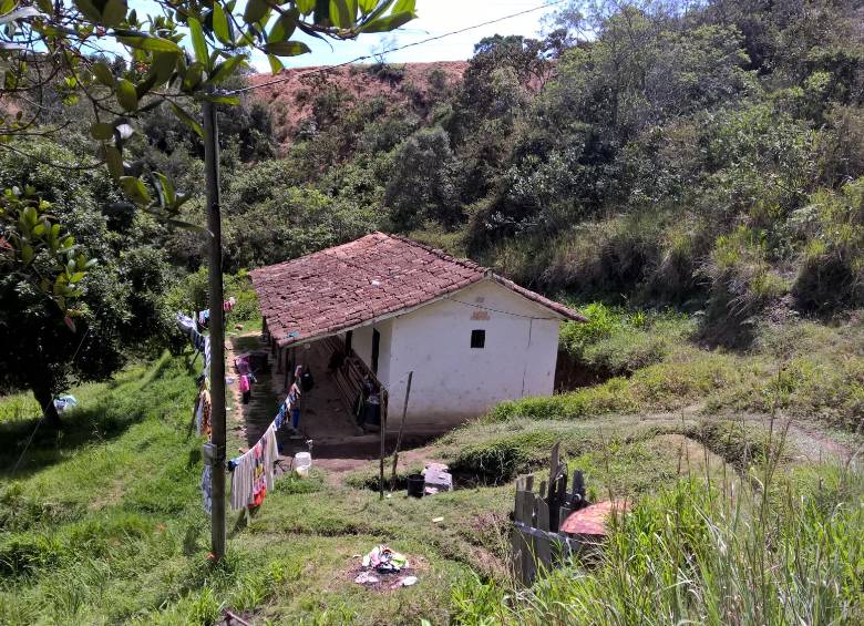 Su tío, el alcalde Luis Eduardo Ochoa Londoño, dijo que, al igual que Magaly, por razones técnicas, logísticas y por turno, estaban pendientes o en proceso para el mejoramiento otros 69 usuarios. El contrato, vale decir, se firmó en noviembre de 2013 y era para ejecutar en 7 meses. 