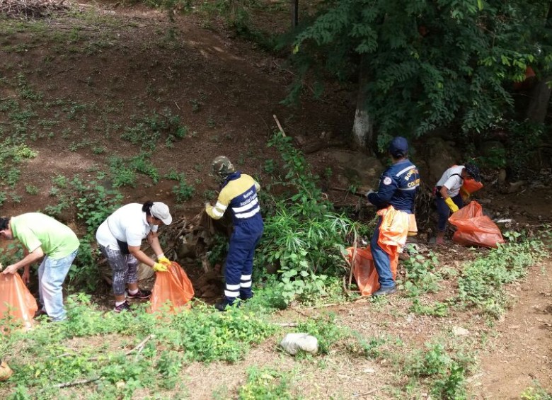 Limpieza de la quebrada La Maquea donde los voluntarios hallaron los caracoles africanos. FOTO Cortesía