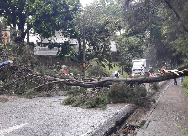La vía está cerrada por la caída de árboles. Foto Twitter @AkaSancho