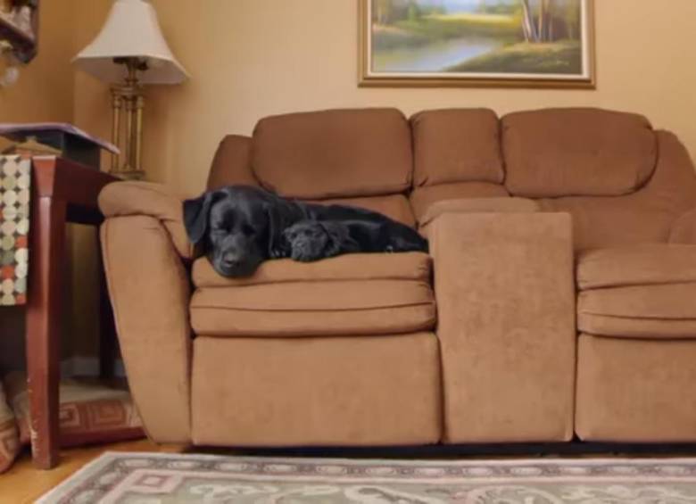 4 planes antes de quemar el año viejo