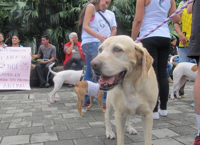 Las organizaciones defensoras de animales convocaron a una Caminata Pacífica Blanca contra el maltrato animal este domingo. FOTO ARCHIVO
