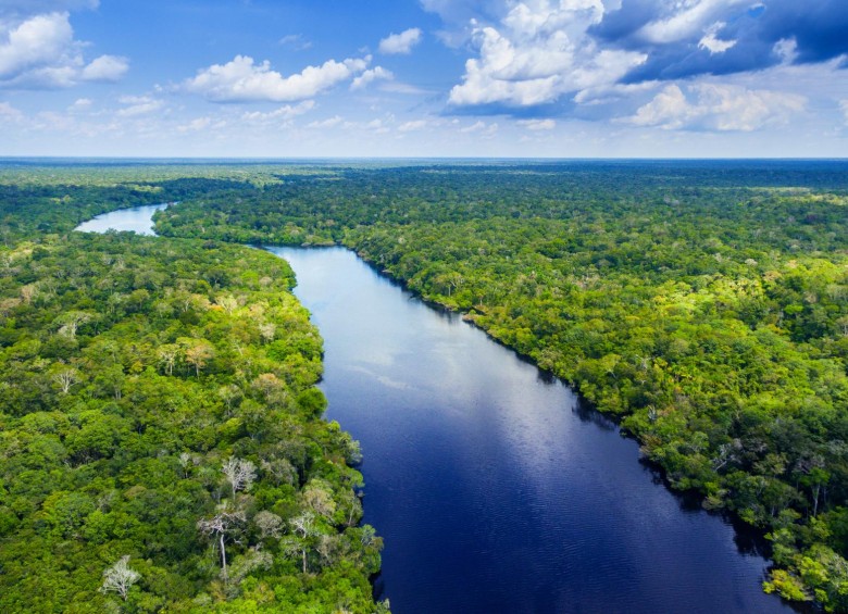 Por qué es importante el Amazonas va más allá del CO2 que consume. FOTO SSTOCK