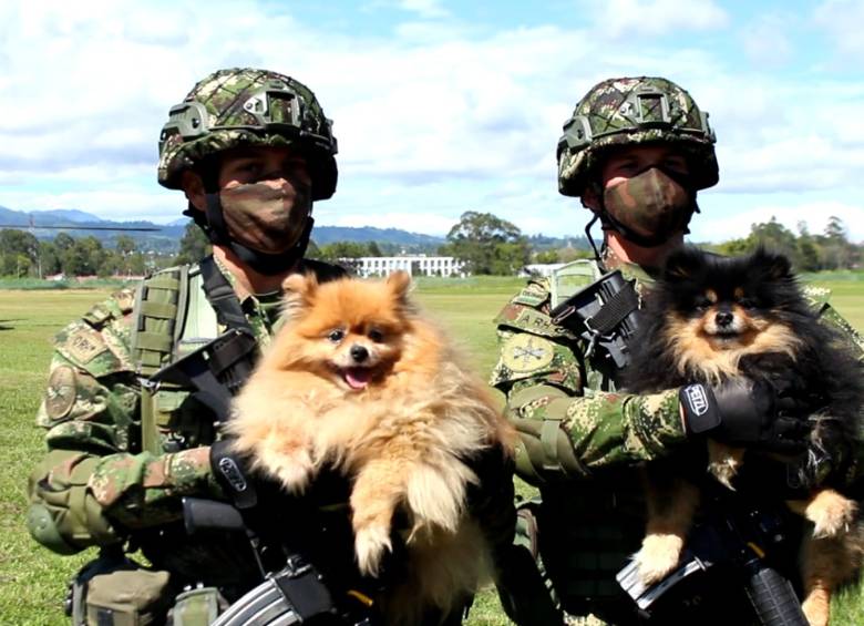 Las mascotas de los extranjeros también fueron rescatadas. FOTO CORTESÍA EJÉRCITO