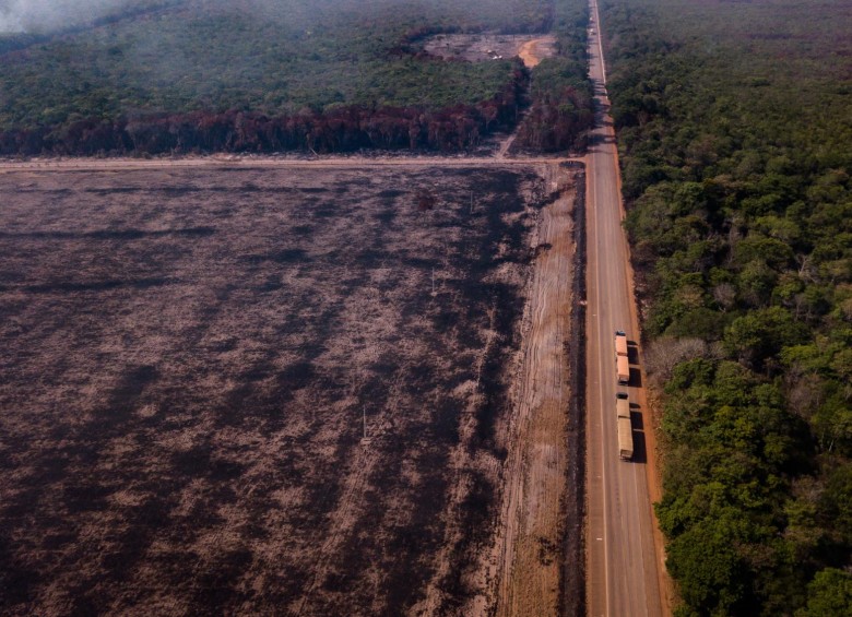 En los últimos dos años la región Amazónica en Colombia perdió 236.432 hectáreas de bosque. La tala ilegal, la ampliación de la frontera agrícola, la extracción ilícita de minerales, las malas prácticas de ganadería extensiva, son algunas causas FOTO GettyImages