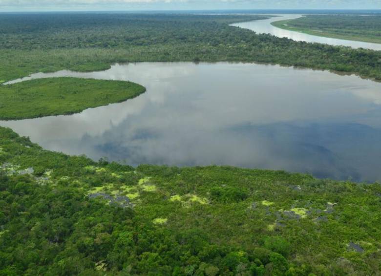 Tarapoto es uno los sitios que a 2017 deberá ser declarado como Ramsar. En el lugar de la Amazonía viven los delfines rosados. FOTO Fernando Trujillo, Fundación Omacha