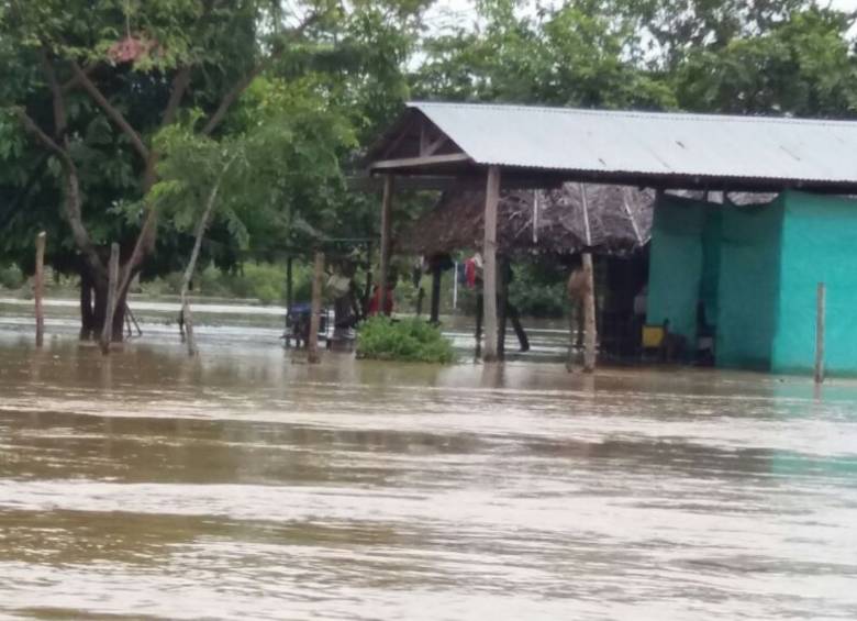 FOTO DAPARD ANTIOQUIA