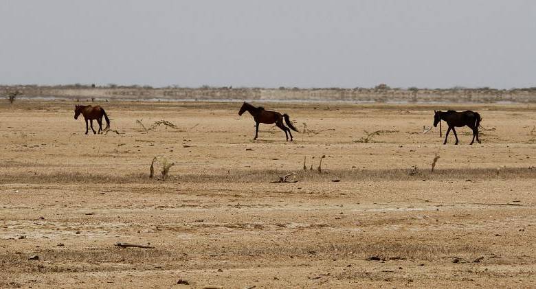 FOTO DONALDO ZULUAGA