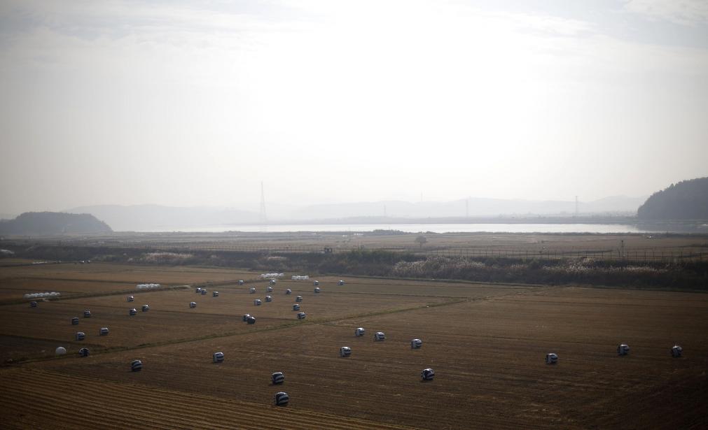 Un campo de arroz se aprecia delante de la cerca de alambre de púas cerca de la zona desmilitarizada que separa a las dos Coreas, que fue diseñada específicamente para la contención militar, es de carácter hostil y está casi despoblada de civiles. FOTO REUTERS
