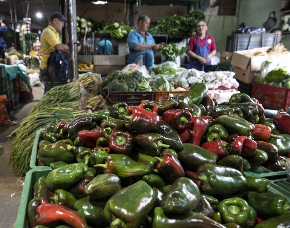 La variedad, los precios y la frescura de los productos son el gran atractivo de la Central Mayorista. Foto Edwin Bustamante