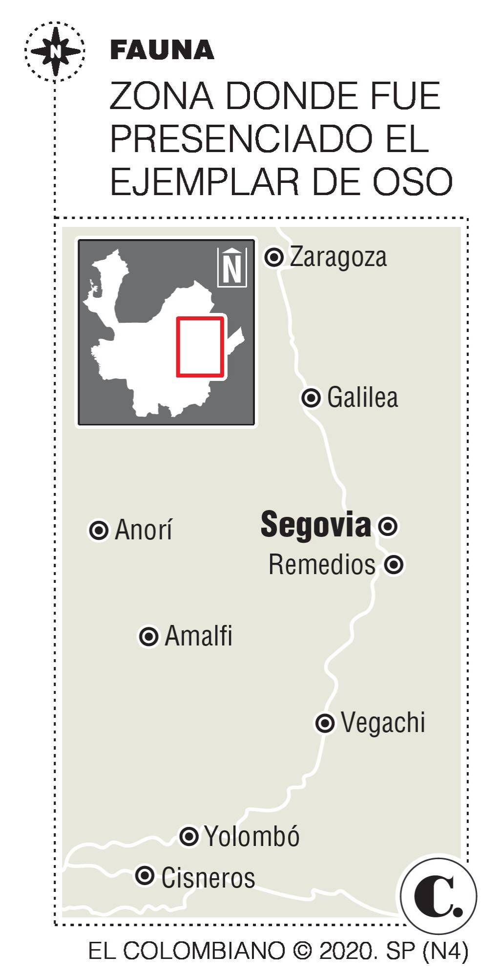 InfogrÃ¡fico