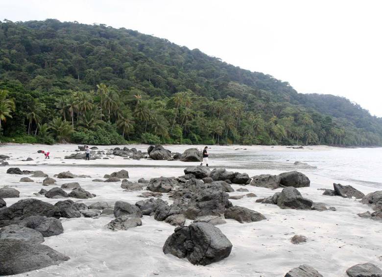 El Parque Nacional Natural Gorgona es un destino ecoturístico ubicado en el pacífico colombiano. Allí, los visitantes pueden hacer senderismo, buceo y avistamiento de aves. FOTO Colprensa
