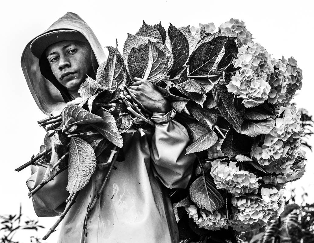  No debes olvidar que es muy importante que tu fotografía tenga toda la gama tonal: desde el blanco más puro al negro más intenso, pasando por todos los grises. Foto: Julio César Herrera.
