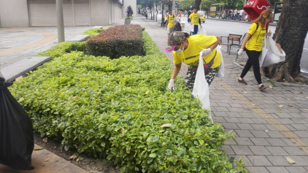 En Medellín la jornada partió de los almacenes Éxito de El Poblado, Laureles y San Antonio. Los voluntarios se dividieron en cuadrillas para aportarle al planeta. FOTO JAIME PÉREZ