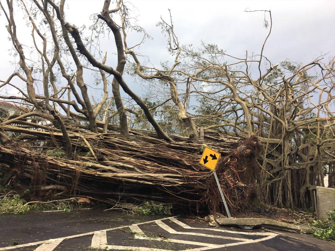 Apenas pasado el huracán, las agencias de gestión de emergencias comenzaban a evaluar los daños. FOTO EFE
