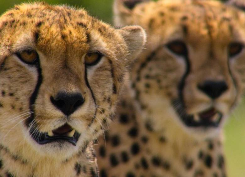 Series y programas para no perderse el día del trabajo