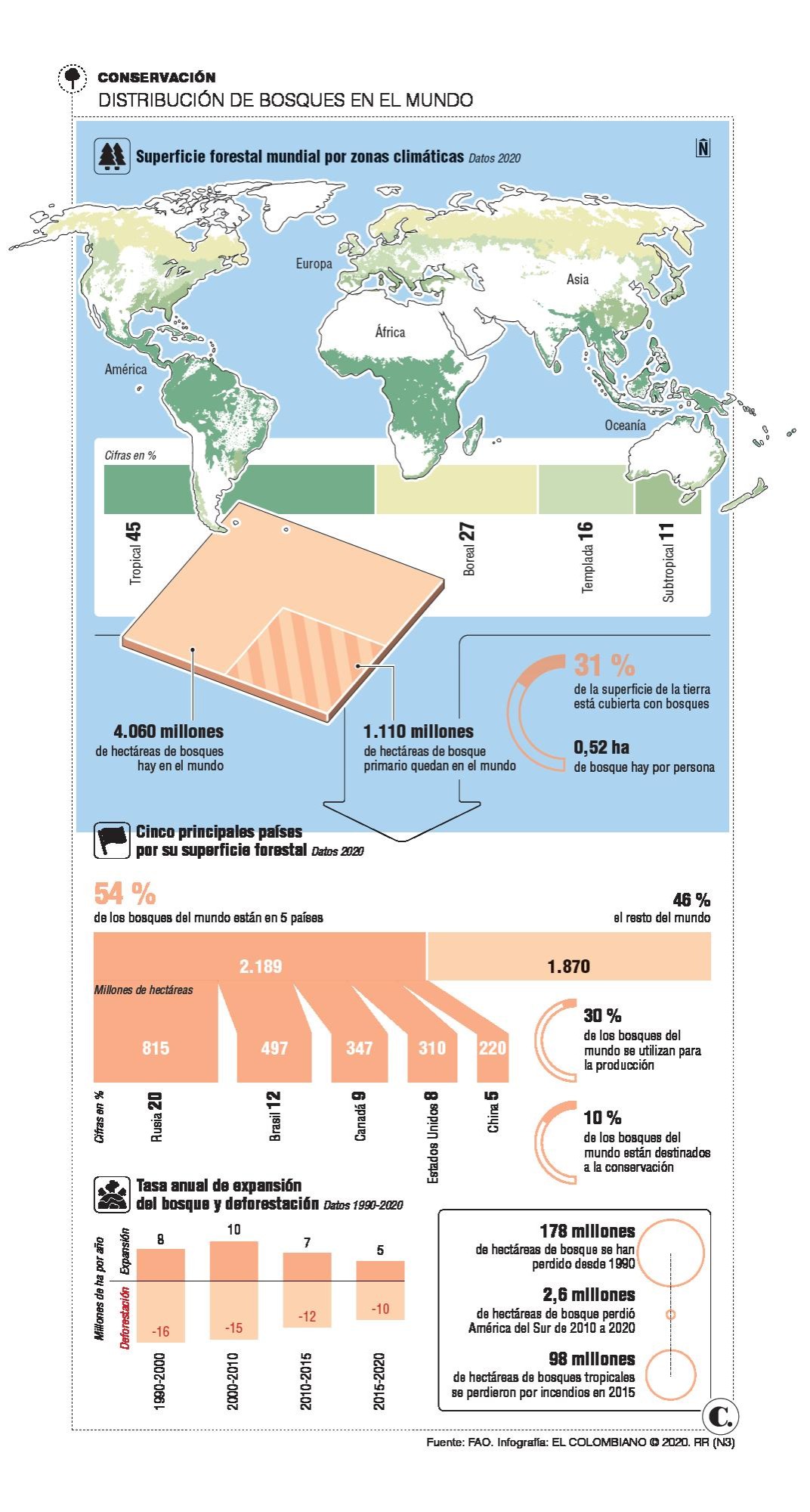 Los bosques del mundo tuvieron un leve respiro de la deforestación