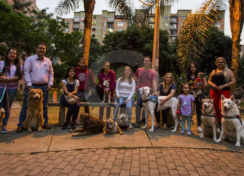 Mientras los caninos juegan libremente en el parque, los humanos se sientan a desatrasarse de los acontecimientos del día. FOTO Julio César Herrera Echeverri