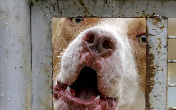 Esta foto es del archivo de este diario y se usa únicamente con fines de ilustración de la noticia. Foto EL COLOMBIANO.