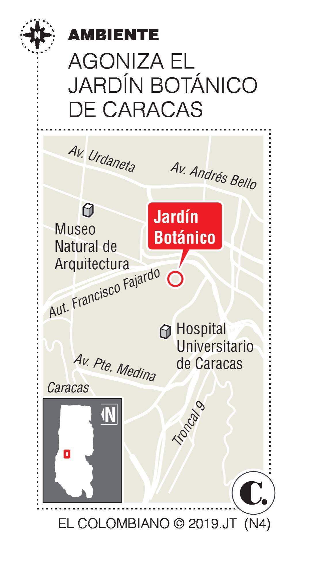 InfogrÃ¡fico