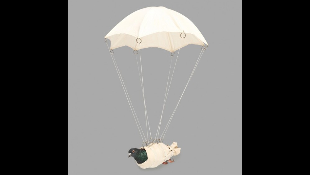 Palomas con paracaídas eran usadas por los soldados en el frente en la Segunda Guerra Mundial. FOTO SPY MUSEUM