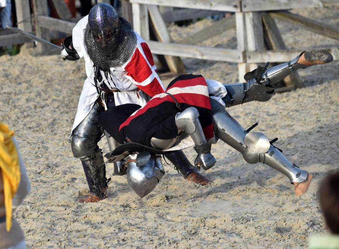 Franceses, ingleses, Alemanes, Chinos, Australianos entre otros mostraron sus mejores combatientes Foto: AFP