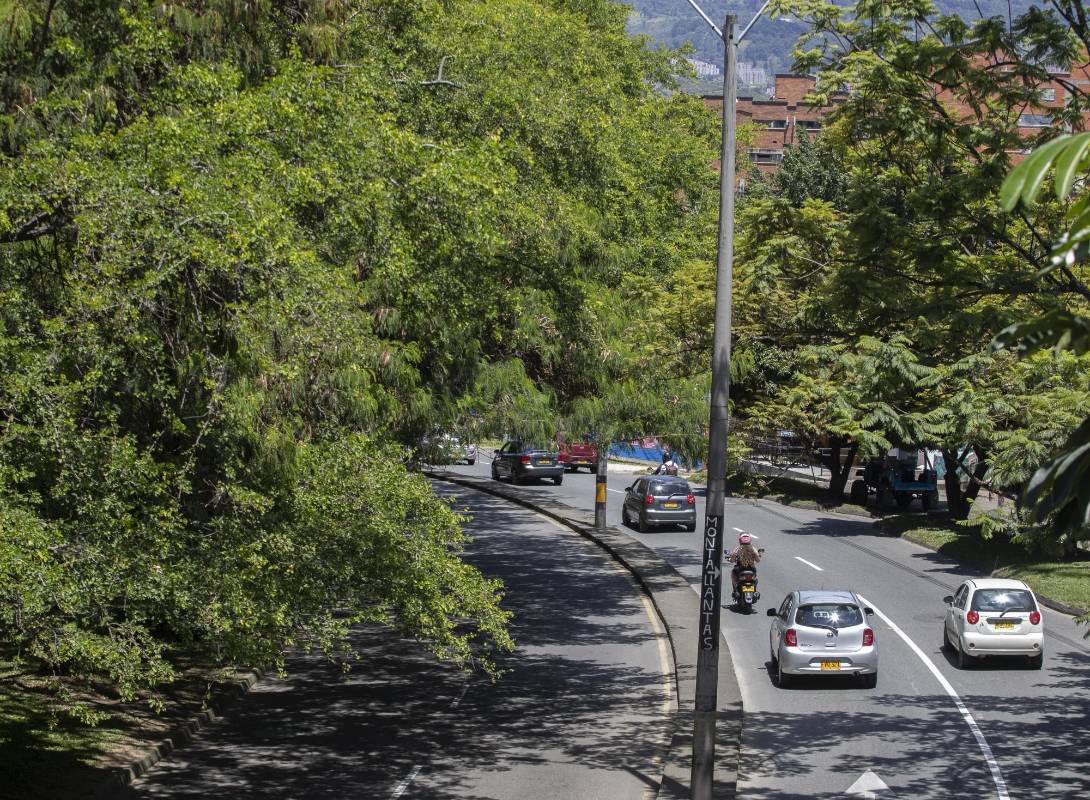Con los anuncios de construcción del metro de la 80, ambientalista y vecinos del sector expresan inquietud por el impacto que tendrá sobre la conectividad ambiental en la zona. Foto: Manuel Saldarriaga Quintero