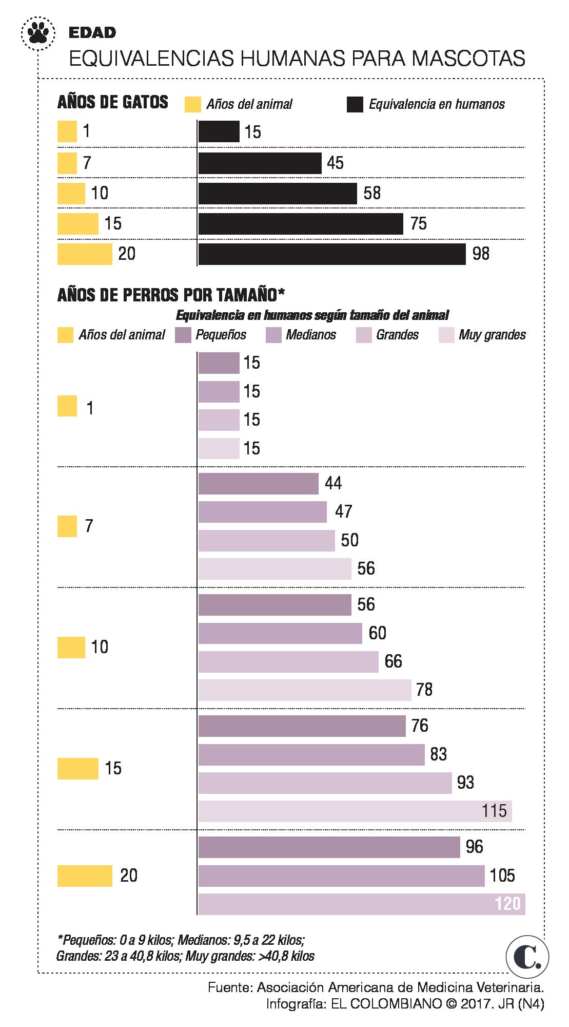 InfogrÃ¡fico